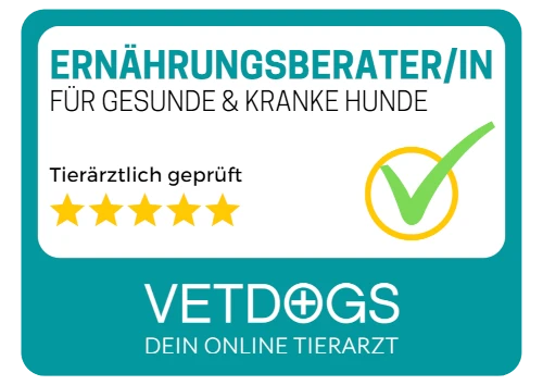 Eine Gruppe von Hunden