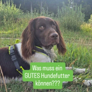 Instagram Post 2