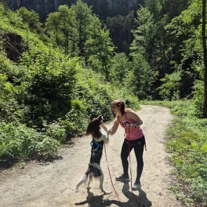 Instagram Post 3