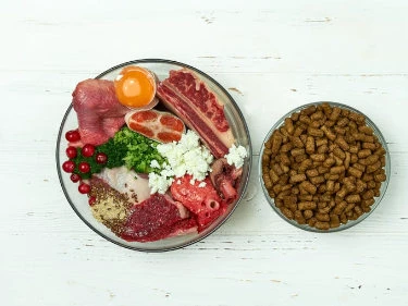 Zwei Futterschüsseln mit verschiedenem Futter