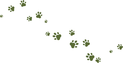 Pfotenspur