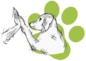 Saskia Ettl, Dein PET Coach - Logo