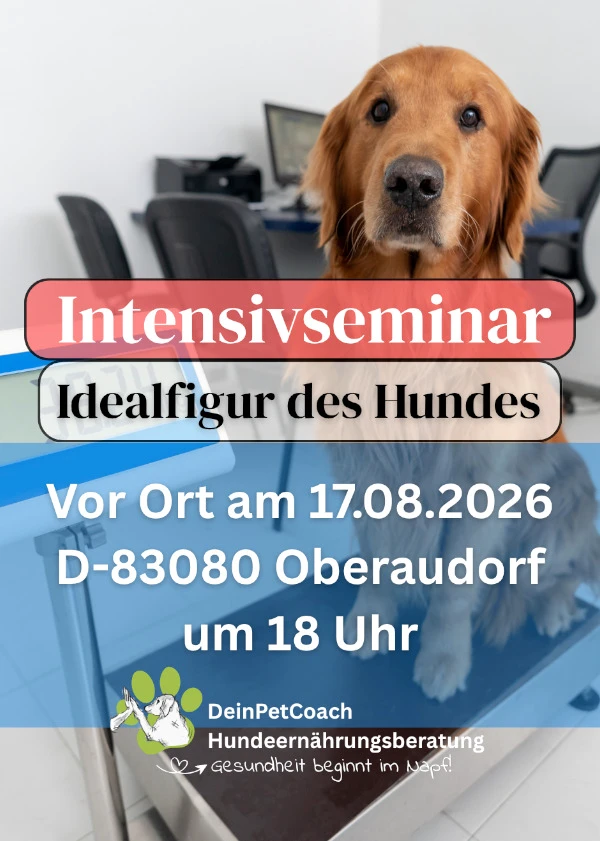 Idealfigur Intensivseminar