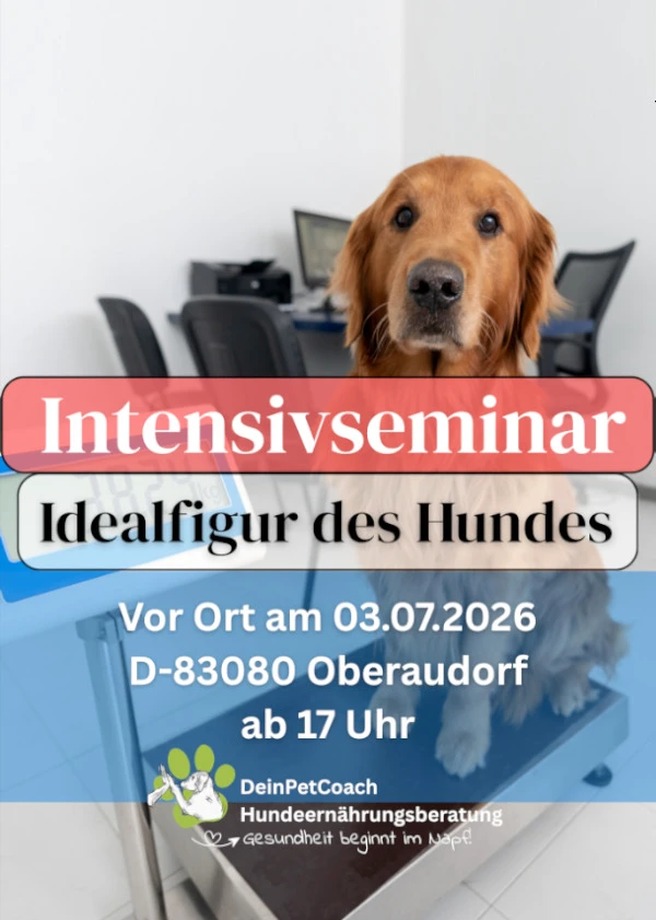Idealfigur Intensivseminar
